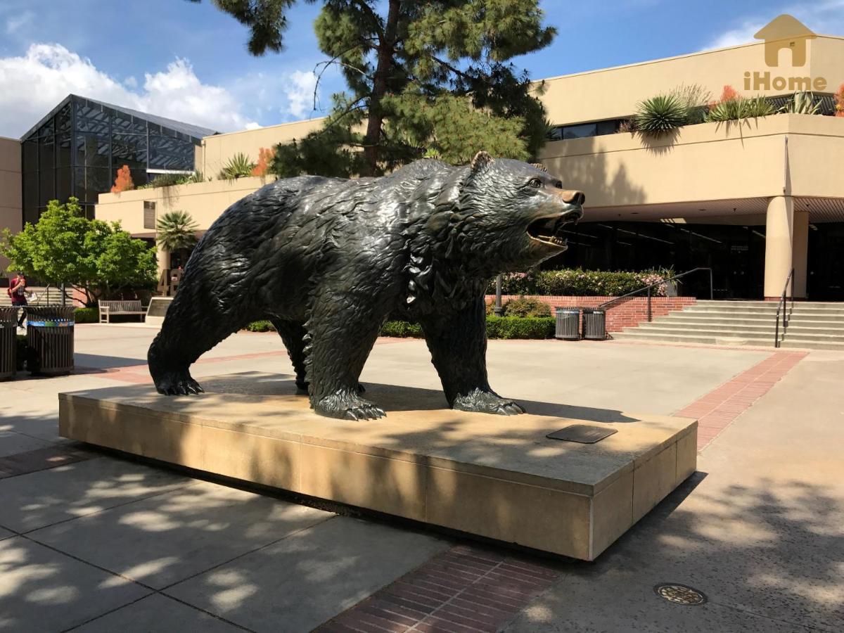 "Resort Style Amenities Walk To Ucla" W Pool & Parking B2 Los Angeles Exteriör bild
